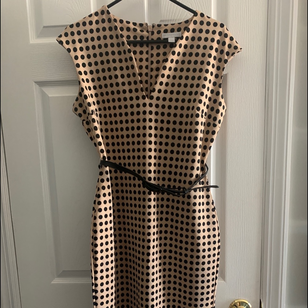 Polka dot below knee dress
